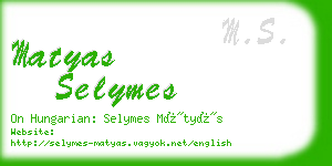 matyas selymes business card